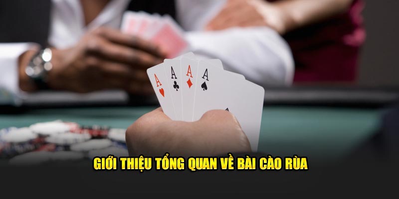 Giới thiệu về bài cào rùa