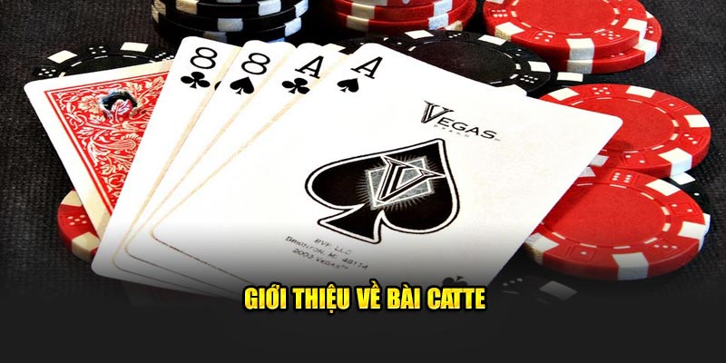 Giới thiệu về bài Catte